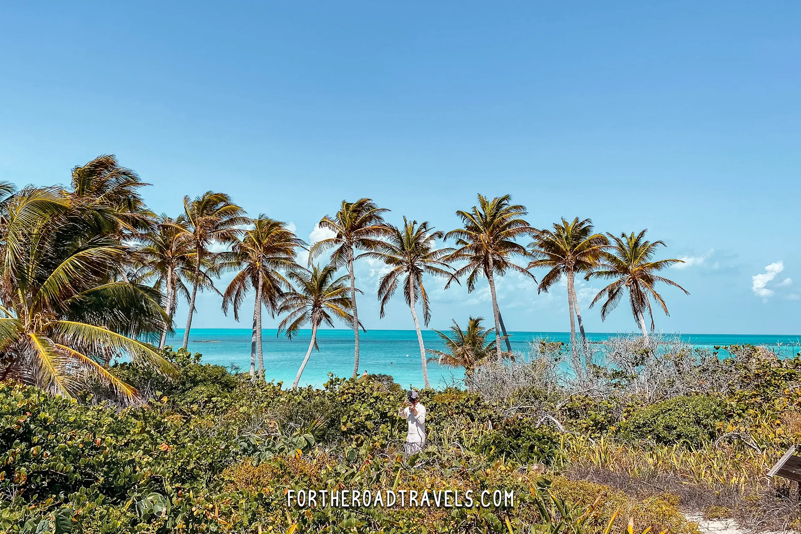 Isla Contoy - the ultimate beach paradise no one knows about