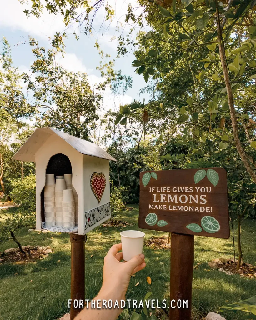 Xenses Park Lemon Tree