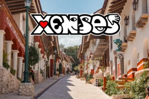 Xenses Park Review | Complete Guide